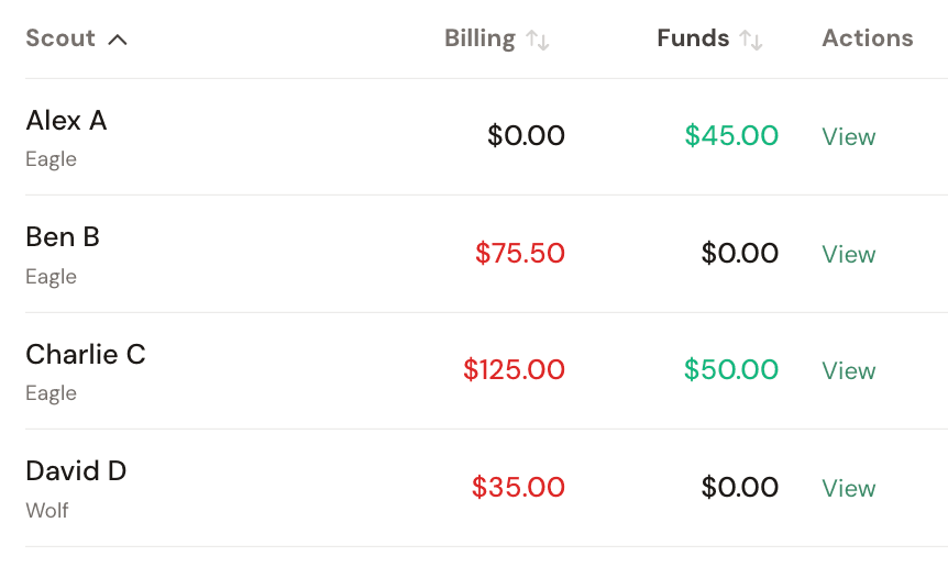 Scout account ledgers showing billing and funds balances